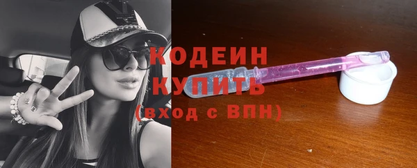 apvp Иннополис
