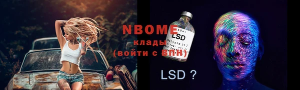 прущий лед Инсар