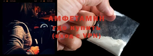 твердый Инта